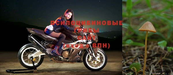 прущая мука Заволжск
