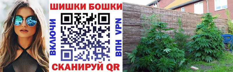 Конопля OG Kush  Купить закладки  Белореченск 